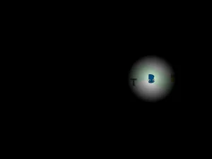 RALR AY In Who is the Imposter! game screenshot 2