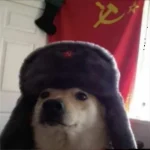 @that_one_shiba_inu profile avatar